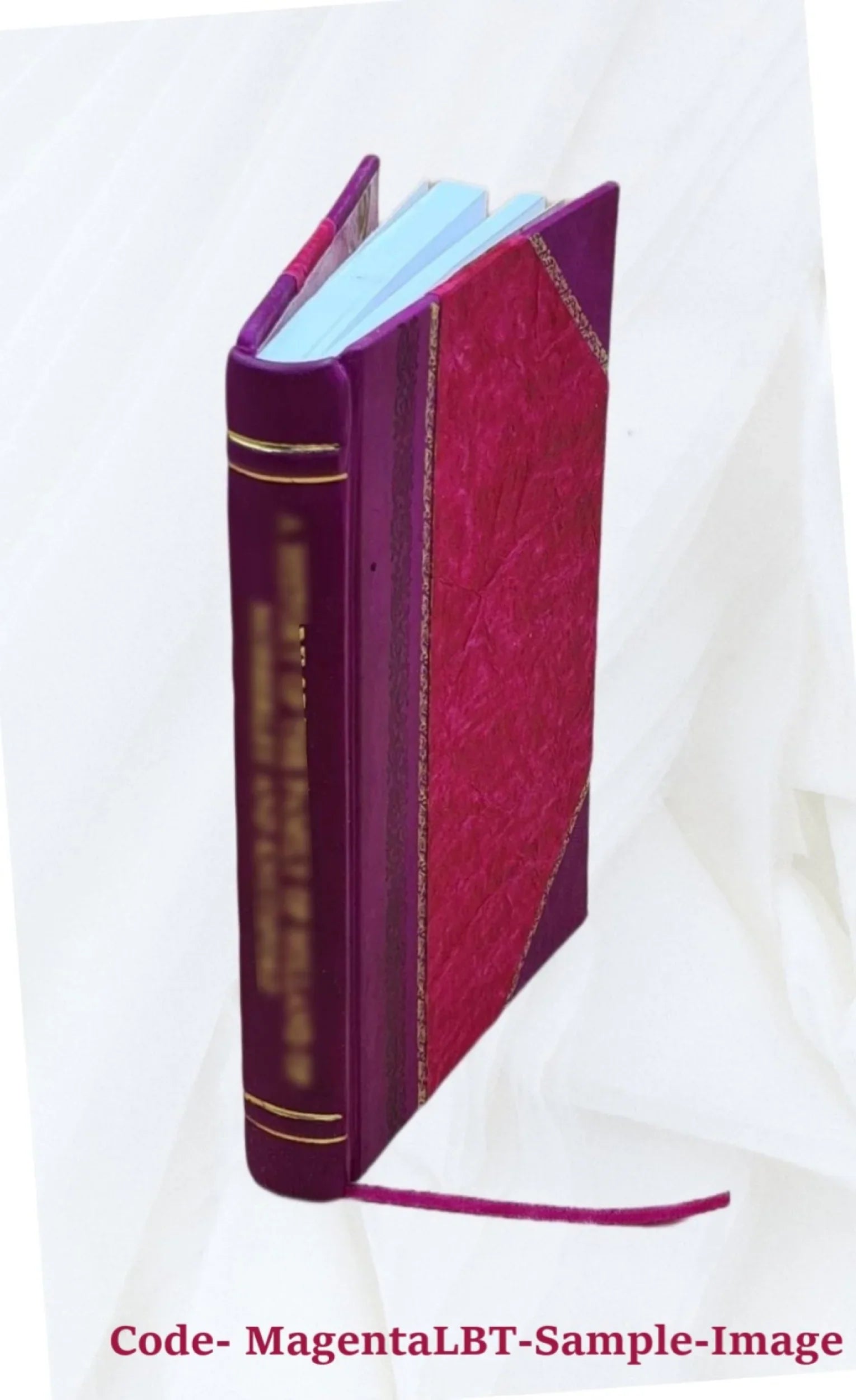 Život svetog Alojzija Gonzage 1926 [Leather Bound]
