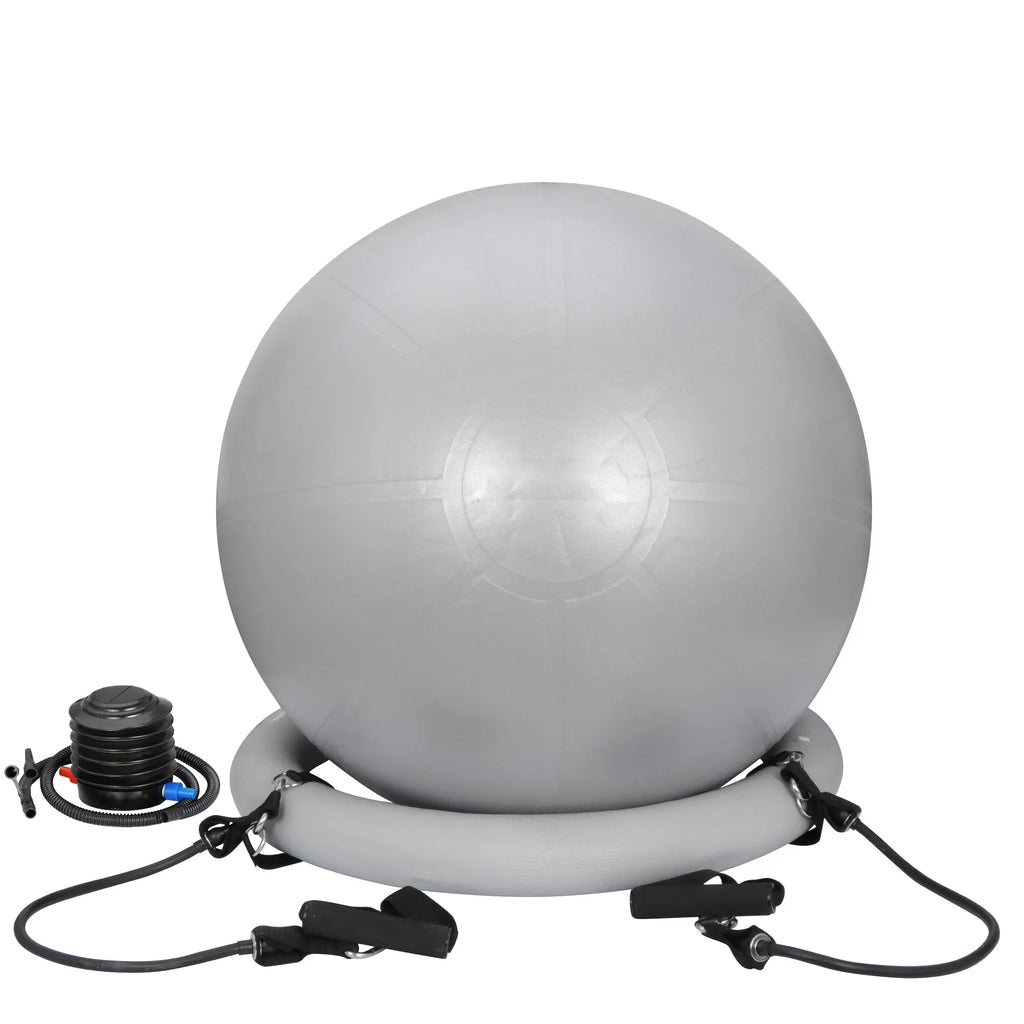 ZENSTYLE Exercise Ball Fitness Balls Stability Ball Anti- Burst for Yoga,Pilates, Birthing, Balance & Fitness with Workout Guide & Quick Pump