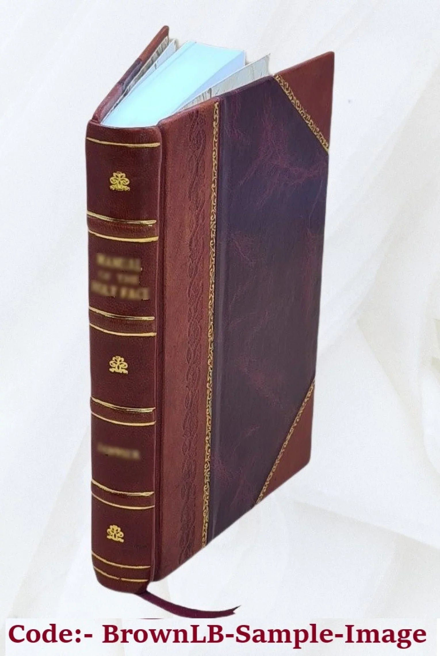 Switzerland as described by Excellent writers, collected and ed. by Esther Singleton; with numerous illustrations. 1908 [Leather Bound]