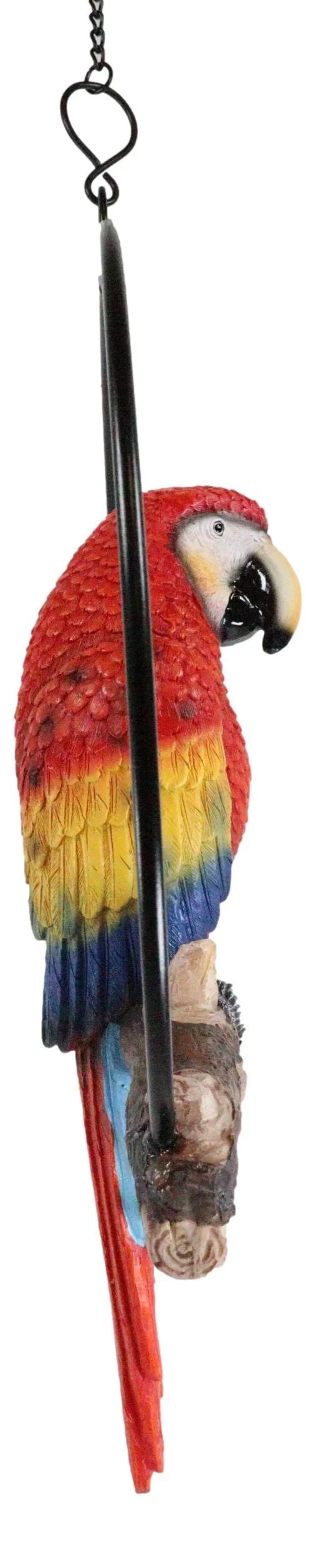 Ebros Hanging Scarlet Macaw Parrot Perching on Branch in Metal Round Ring 13.5"H