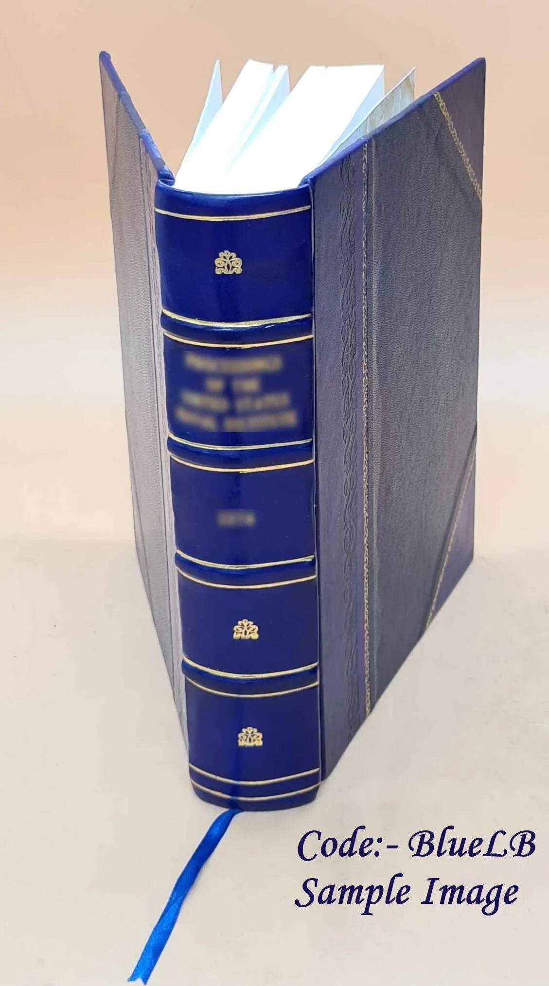 White River National Forest (N.F.) Marble Winter Sports Site : environmental impact statement. D. Volume D 1975 [Leather Bound]