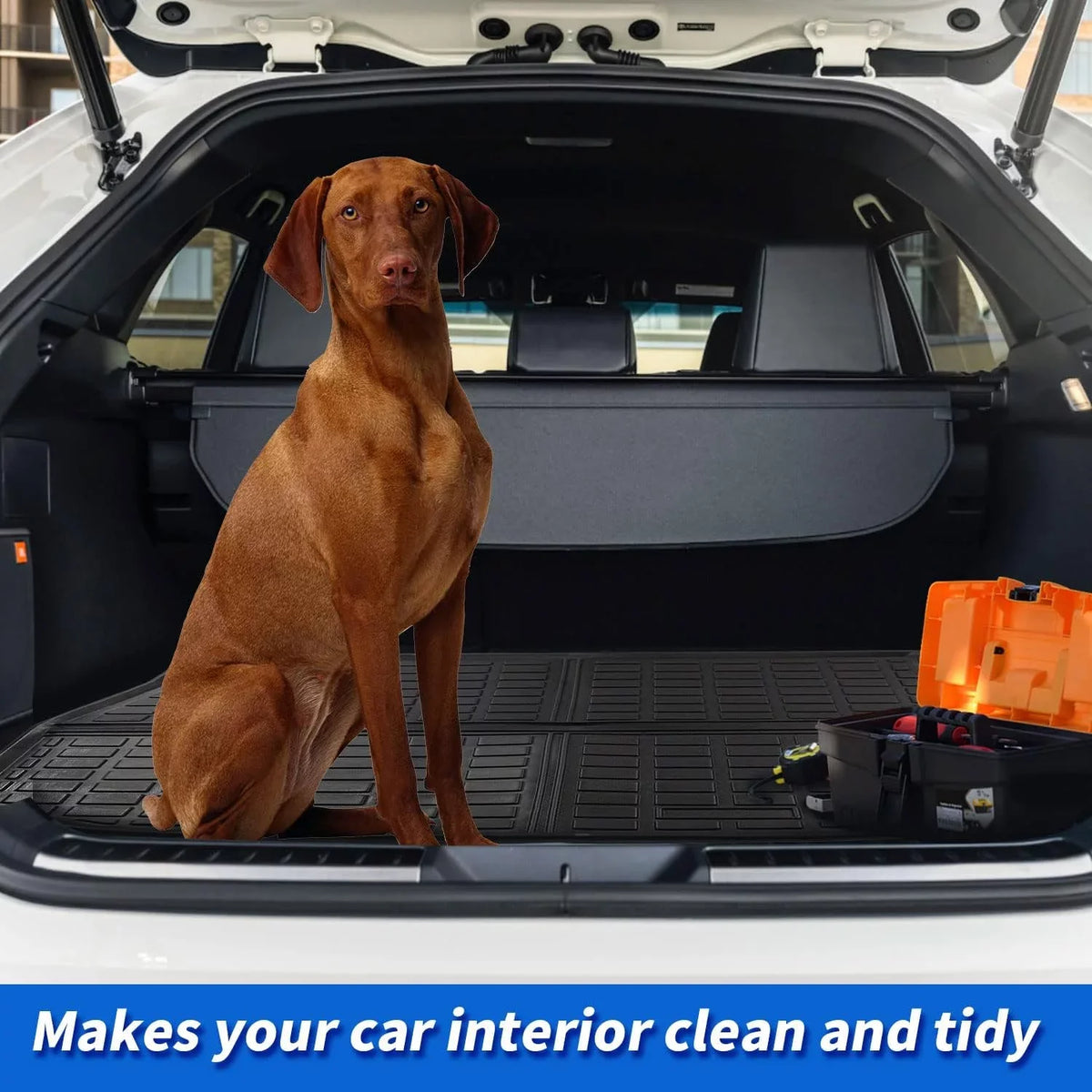 Cargo Liner fit 2019-2024 BMW X5 All Condition Rear Trunk Wrap Cargo Tray Floor Mat for BMW X5 2019 2020 2021 2022 2023 2024 Accessory , Black