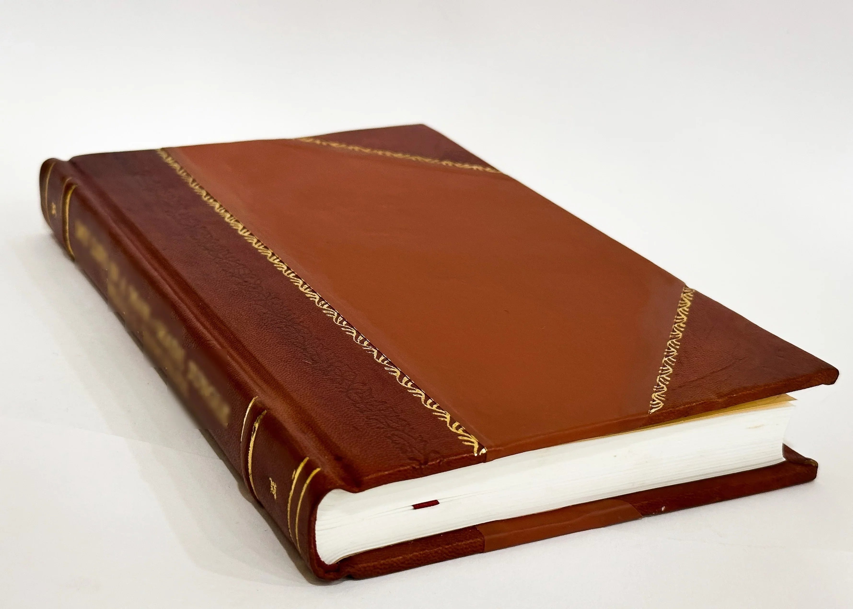 New York State Men Individual Library Edition, with Biographic Studies, Character Portraits and Autographs , Issues 74-85 (1914) [Leather Bound]