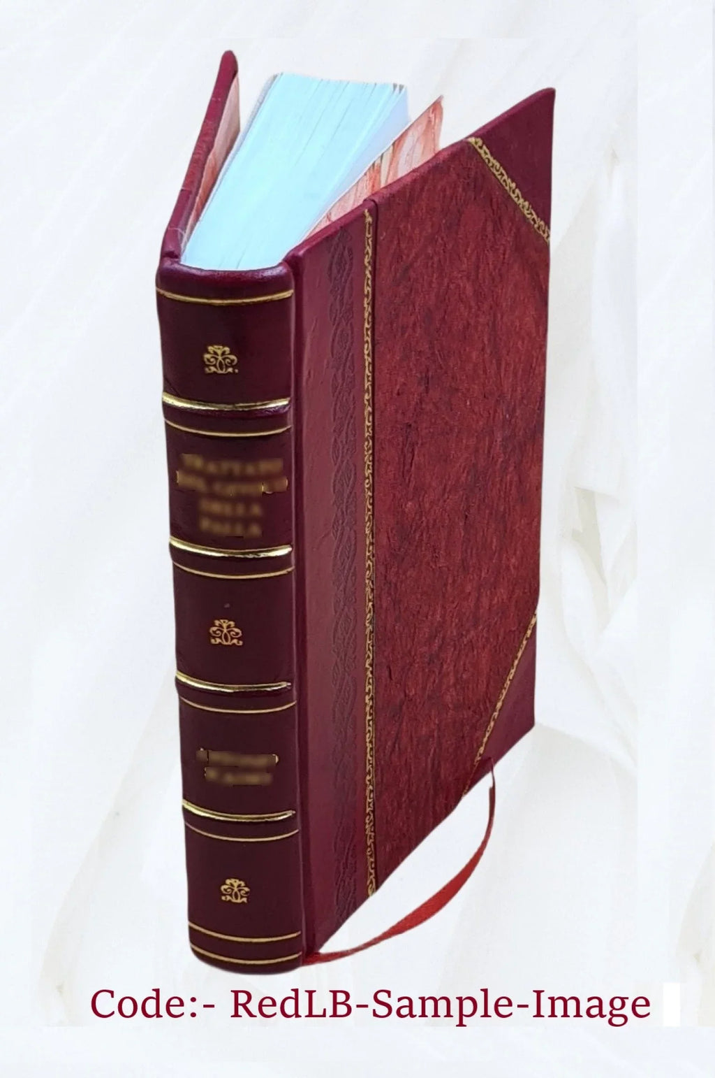 Nobiliaire d'Auvergne ... / J.-B. Bouillet. Volume v.5 1846 [Leather Bound]