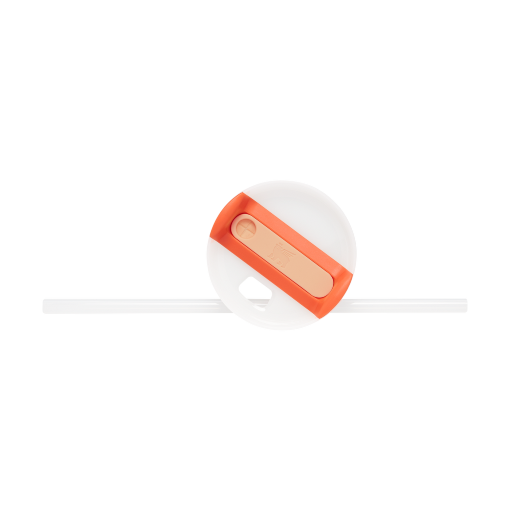 The Quencher H2.0 Flowstate™ Tumbler D030T