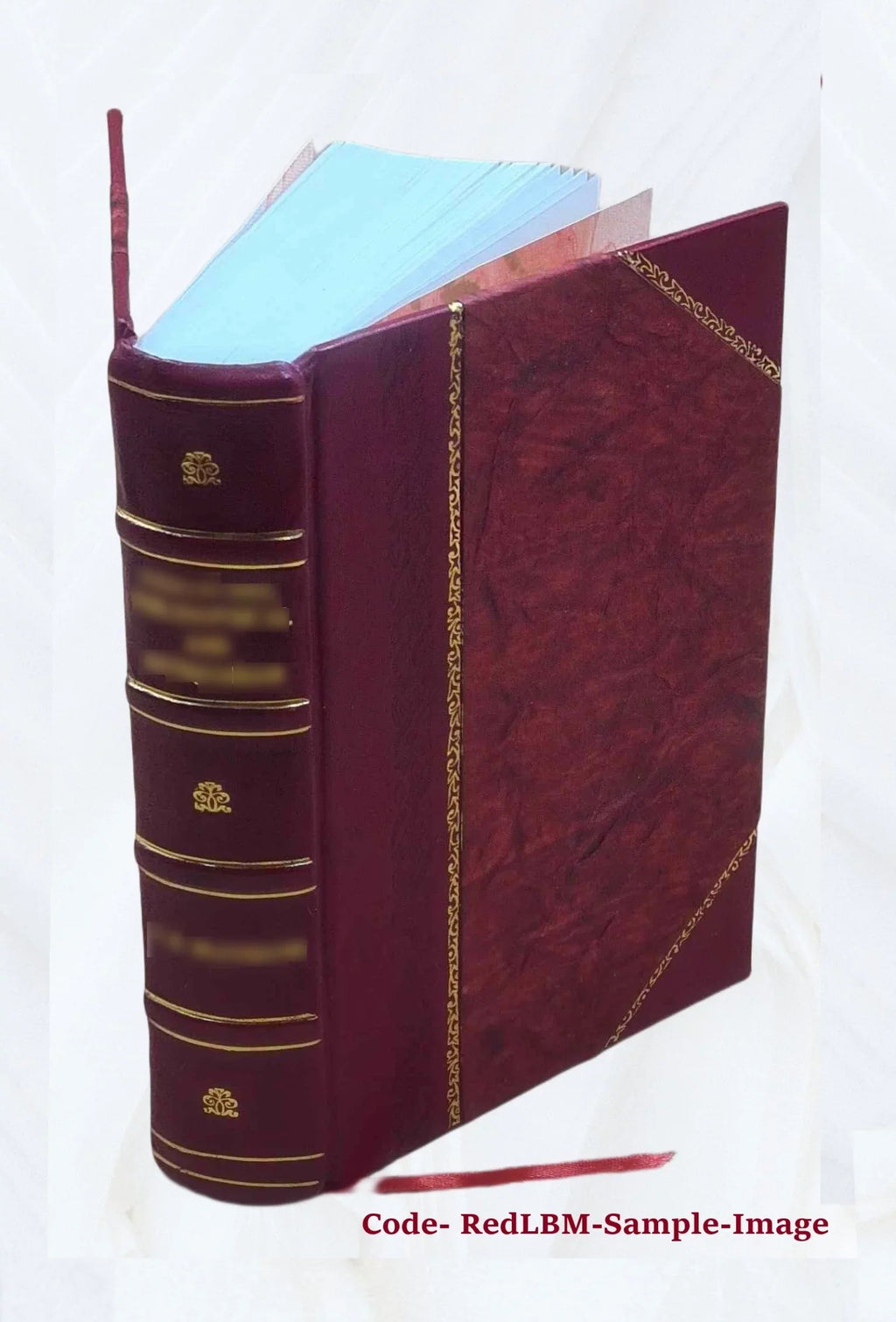 Le diocèse de Genève (partie de Savoie) pendant la Révolution française Volume 1 1894 [Leather Bound]