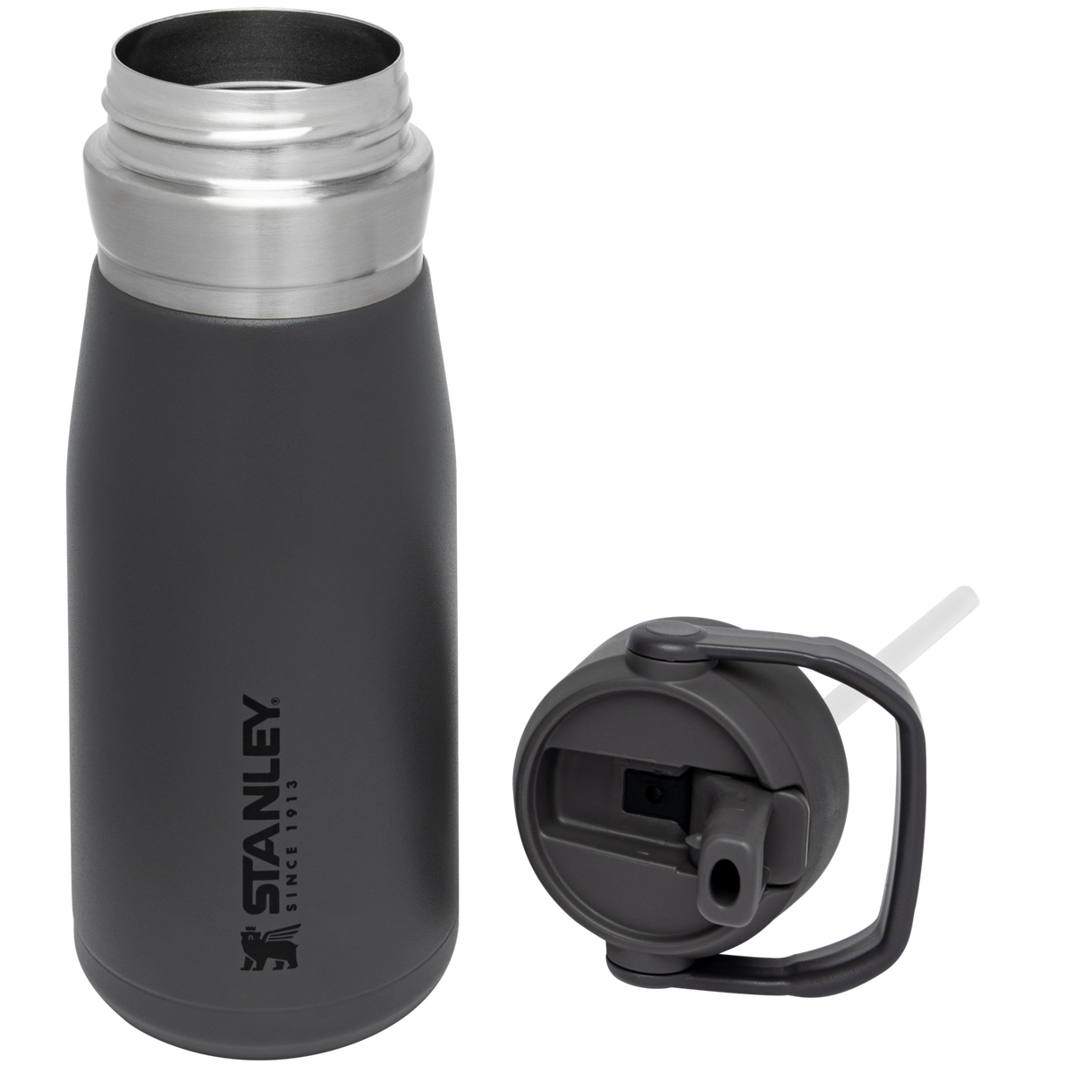 Go Flip Straw Water Bottle D154N